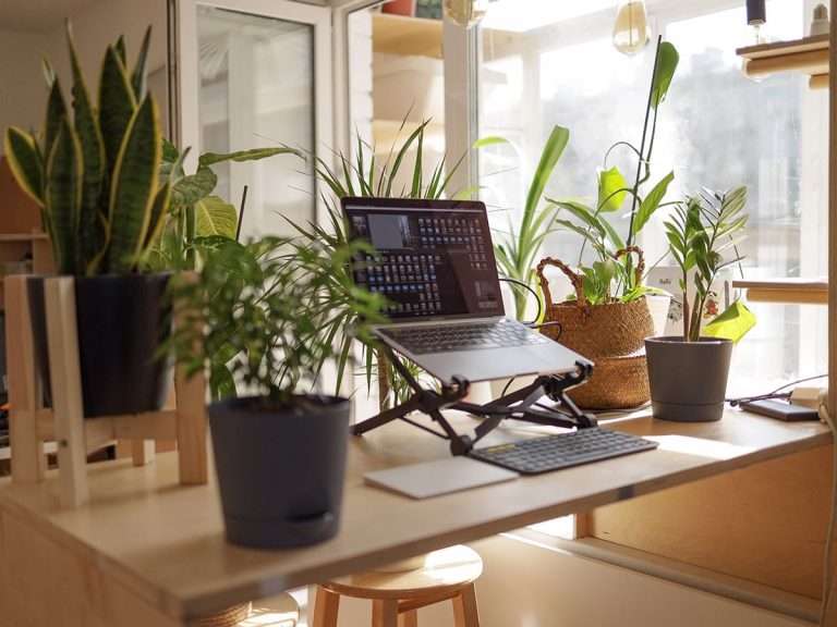 Etiam imperdiet imperdiet